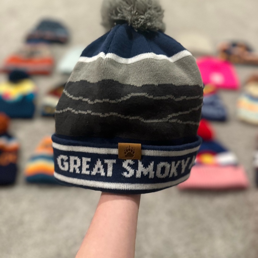 NWOT Great Smoky Mountains Beanie - Blue and Gray